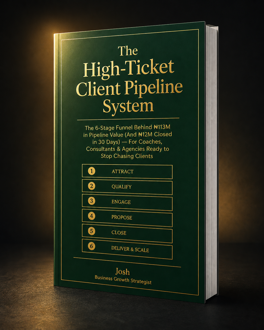The High-Ticket Client Pipeline System